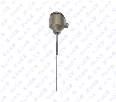 加強管型熱電偶熱電阻